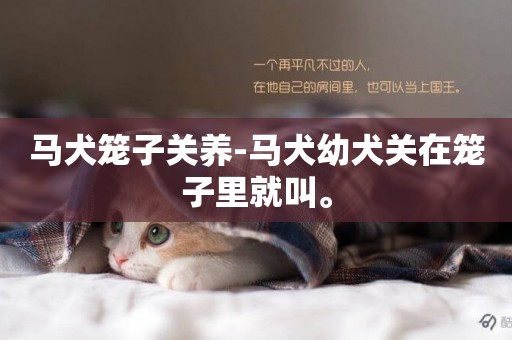 馬犬籠子關養-馬犬幼犬關在籠子里就叫。