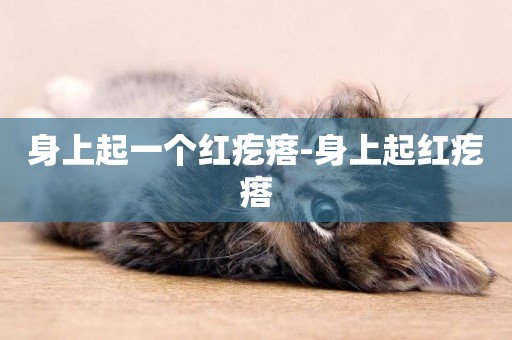 身上起一個紅疙瘩-身上起紅疙瘩