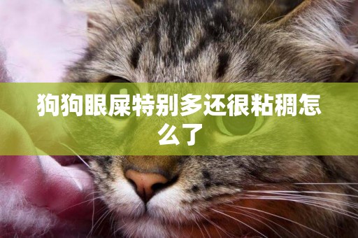 狗狗眼屎特別多還很粘稠怎么了