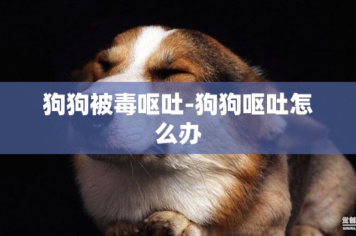 狗狗被毒嘔吐-狗狗嘔吐怎么辦