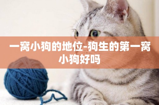 一窩小狗的地位-狗生的第一窩小狗好嗎
