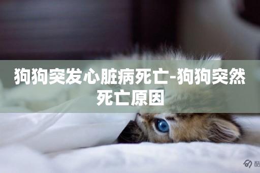 狗狗突發心臟病死亡-狗狗突然死亡原因