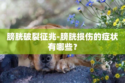 膀胱破裂征兆-膀胱損傷的癥狀有哪些？