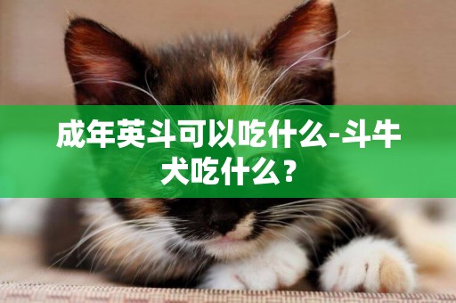 成年英斗可以吃什么-斗牛犬吃什么？