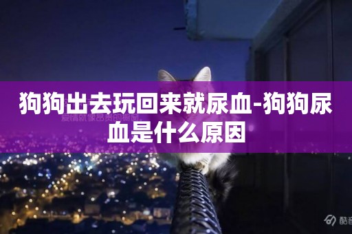 狗狗出去玩回來就尿血-狗狗尿血是什么原因