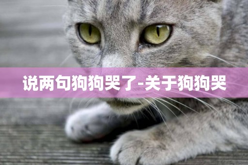 說兩句狗狗哭了-關于狗狗哭