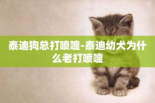 泰迪狗總打噴嚏-泰迪幼犬為什么老打噴嚏