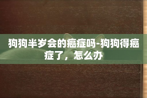 狗狗半歲會的癌癥嗎-狗狗得癌癥了，怎么辦