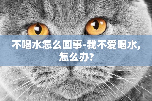 不喝水怎么回事-我不愛喝水,怎么辦?
