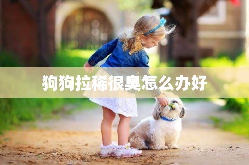 狗狗拉稀很臭怎么辦好
