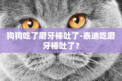 狗狗吃了磨牙棒吐了-泰迪吃磨牙棒吐了？