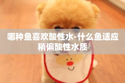 哪種魚喜歡酸性水-什么魚適應稍偏酸性水質