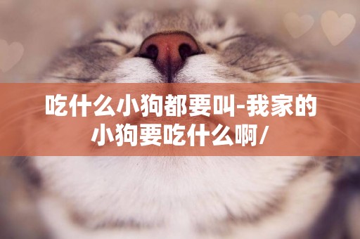 吃什么小狗都要叫-我家的小狗要吃什么啊/