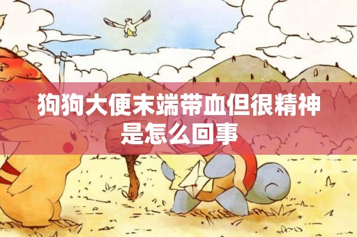 狗狗大便末端帶血但很精神是怎么回事