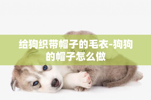 給狗織帶帽子的毛衣-狗狗的帽子怎么做