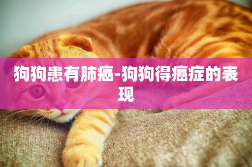 狗狗患有肺癌-狗狗得癌癥的表現