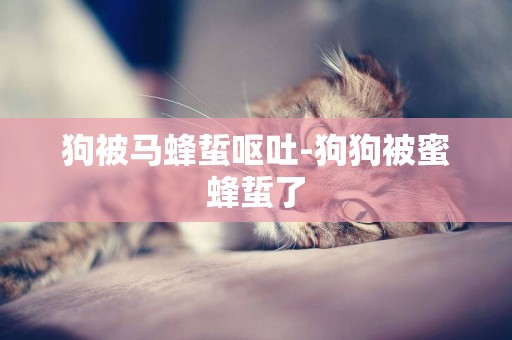 狗被馬蜂蜇嘔吐-狗狗被蜜蜂蜇了
