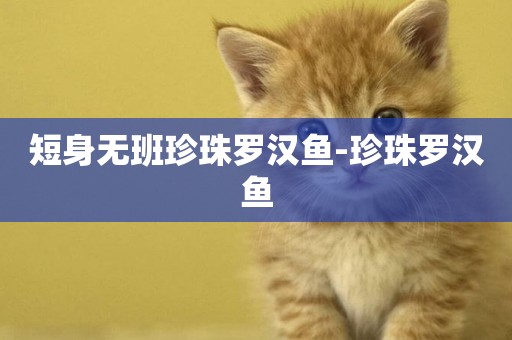 短身無班珍珠羅漢魚-珍珠羅漢魚