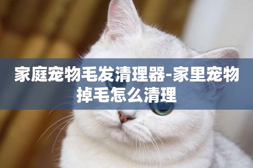 家庭寵物毛發清理器-家里寵物掉毛怎么清理