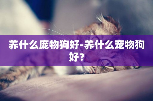 養什么龐物狗好-養什么寵物狗好？