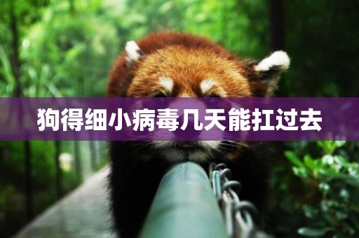 狗得細小病毒幾天能扛過去
