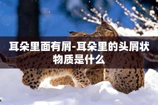 耳朵里面有屑-耳朵里的頭屑狀物質是什么