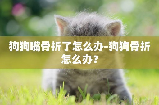 狗狗嘴骨折了怎么辦-狗狗骨折怎么辦？