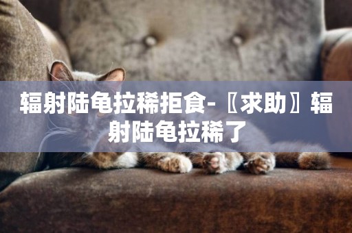 輻射陸龜拉稀拒食-〖求助〗輻射陸龜拉稀了