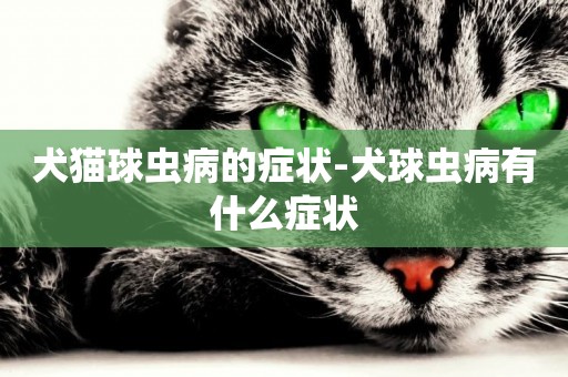 犬貓球蟲病的癥狀-犬球蟲病有什么癥狀