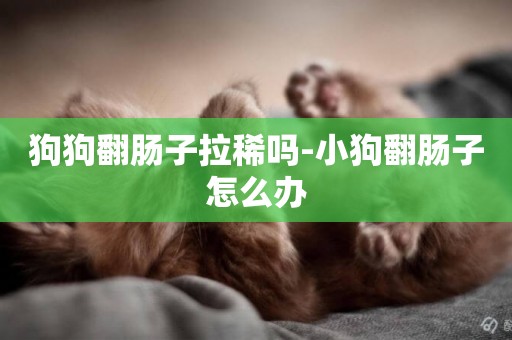 狗狗翻腸子拉稀嗎-小狗翻腸子怎么辦