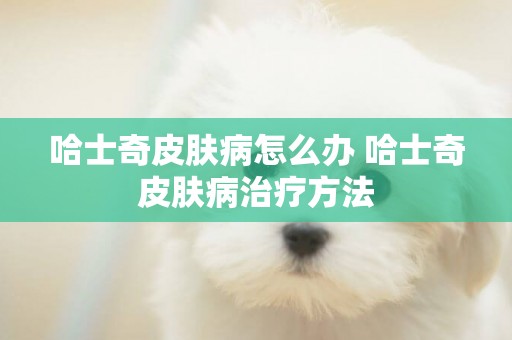 哈士奇皮膚病怎么辦 哈士奇皮膚病治療方法