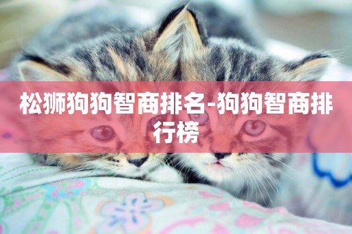 松獅狗狗智商排名-狗狗智商排行榜