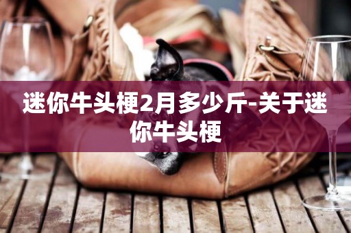 迷你牛頭梗2月多少斤-關于迷你牛頭梗