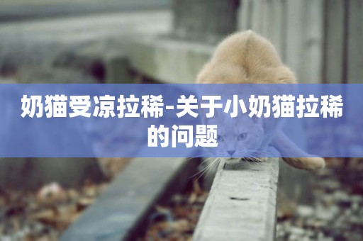 奶貓受涼拉稀-關于小奶貓拉稀的問題
