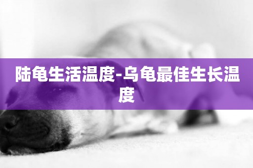 陸龜生活溫度-烏龜最佳生長溫度