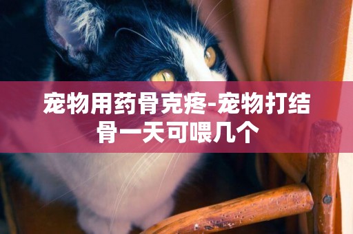 寵物用藥骨克疼-寵物打結骨一天可喂幾個
