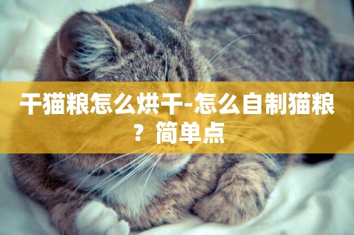 干貓糧怎么烘干-怎么自制貓糧？簡單點