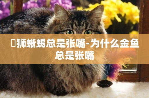 鬆獅蜥蜴總是張嘴-為什么金魚總是張嘴