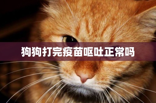 狗狗打完疫苗嘔吐正常嗎