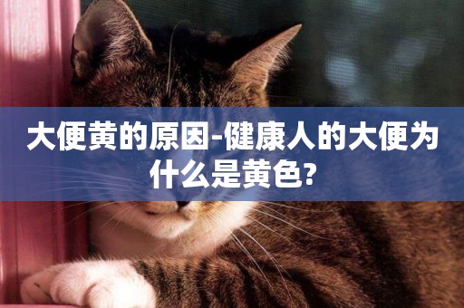 大便黃的原因-健康人的大便為什么是黃色?