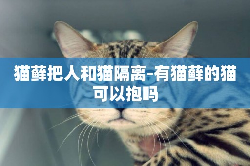 貓蘚把人和貓隔離-有貓蘚的貓可以抱嗎
