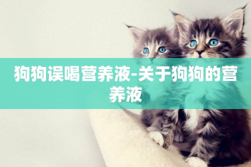 狗狗誤喝營養液-關于狗狗的營養液
