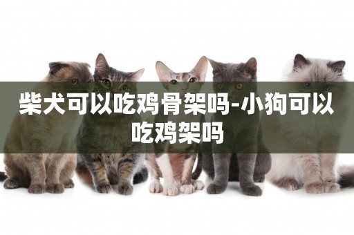 柴犬可以吃雞骨架嗎-小狗可以吃雞架嗎