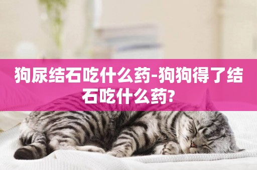 狗尿結石吃什么藥-狗狗得了結石吃什么藥?