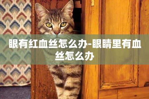 眼有紅血絲怎么辦-眼睛里有血絲怎么辦