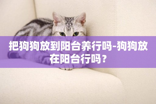 把狗狗放到陽臺養行嗎-狗狗放在陽臺行嗎？