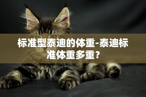 標準型泰迪的體重-泰迪標準體重多重？