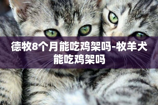 德牧8個月能吃雞架嗎-牧羊犬能吃雞架嗎