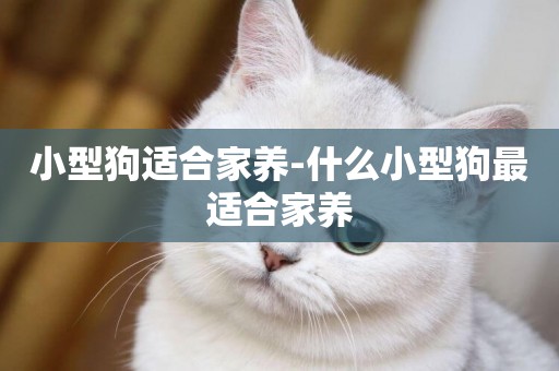 小型狗適合家養-什么小型狗最適合家養