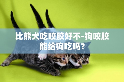 比熊犬吃咬膠好不-狗咬膠能給狗吃嗎？